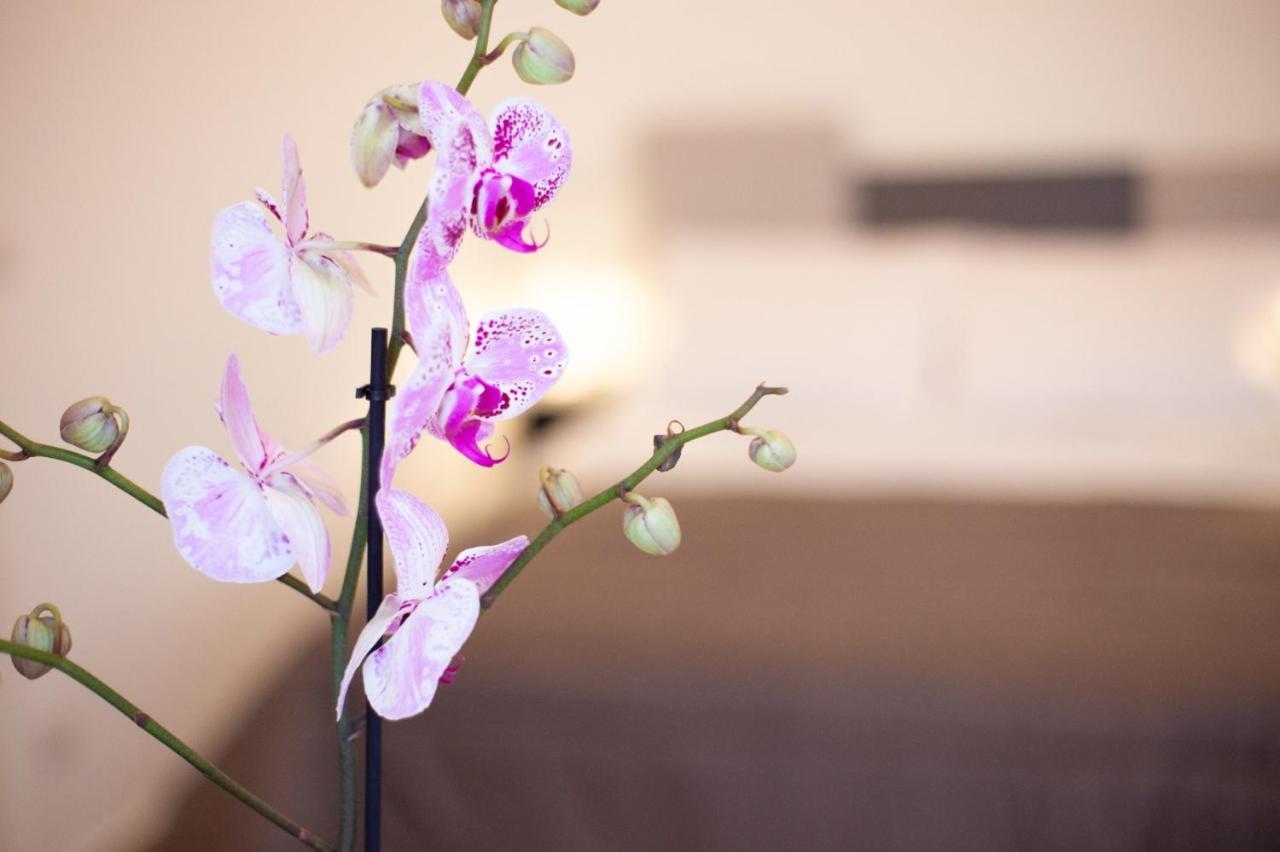 Casapaola B&B Rooms Acireale Bagian luar foto